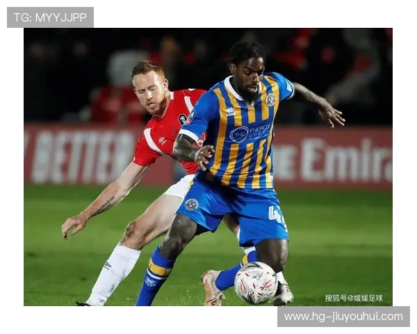 纵览维京足球史上顶尖球星全景实力深度排名权威档案解析综合盘点